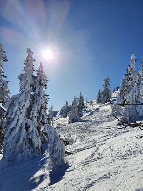 tourenski bayerischer wald