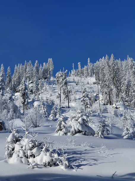 skitouren bayern