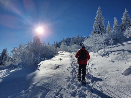 jga winter schneeschuh arber geißkopf