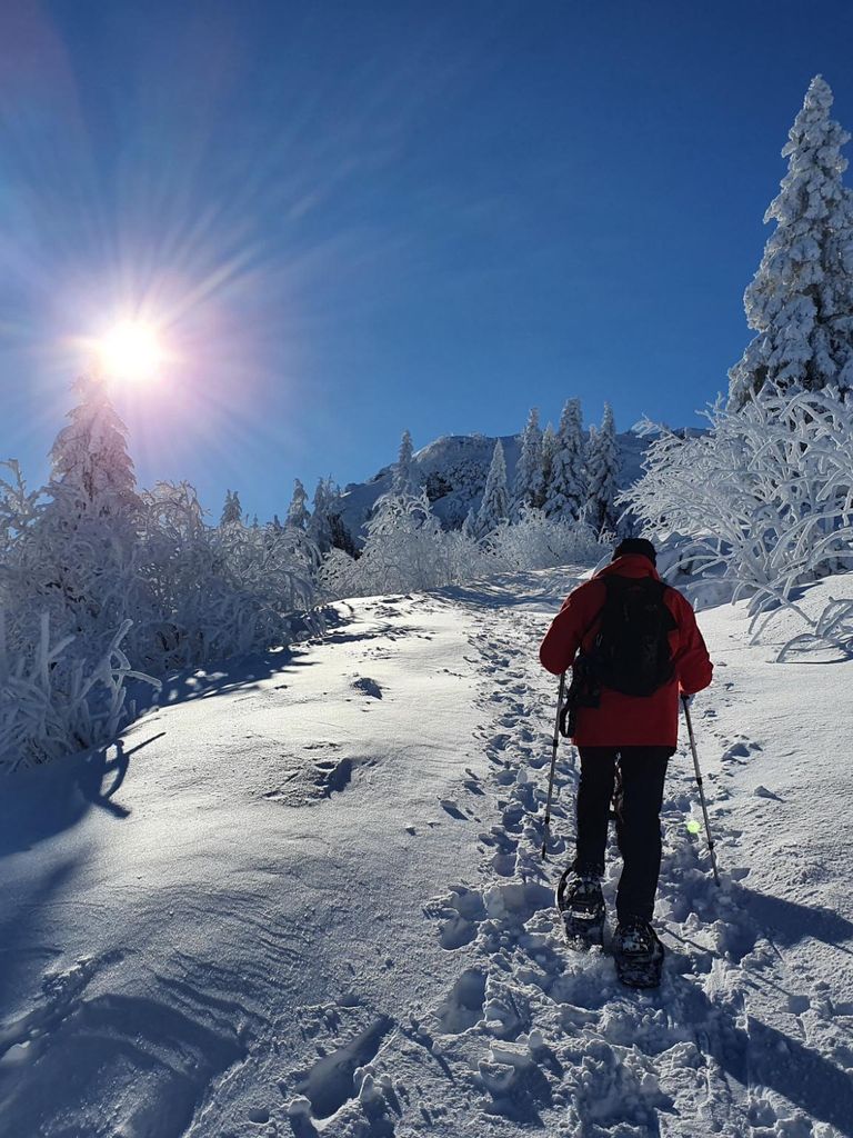 schneeschuhwandern deggendorf arber bodenmais