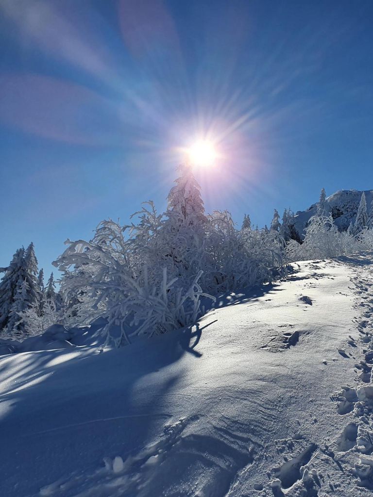 schneeschuhwandern deggendorf arber bodenmais